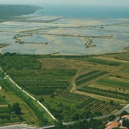 Apartmaji In Vinogradnistvo Klobas Daire Sečovlje Dış mekan fotoğraf