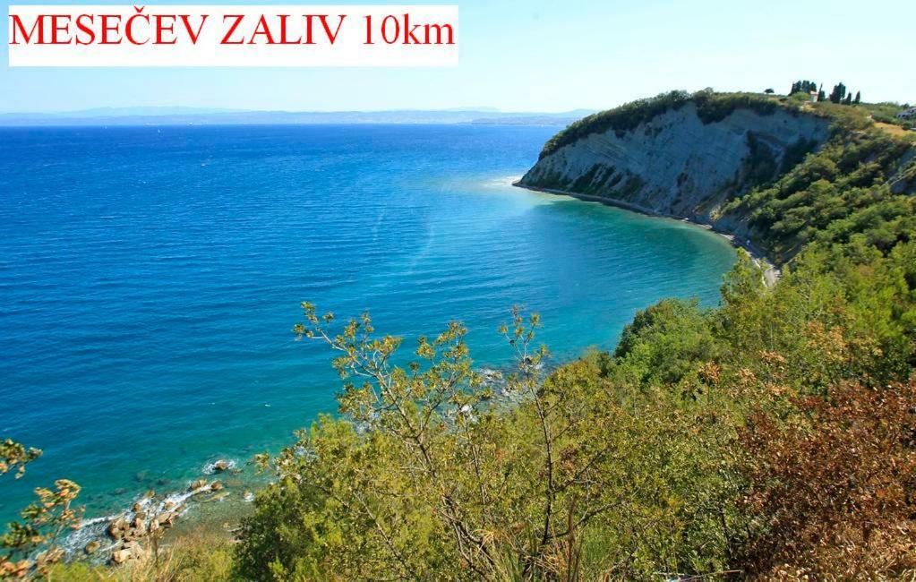 Apartmaji In Vinogradnistvo Klobas Daire Sečovlje Dış mekan fotoğraf